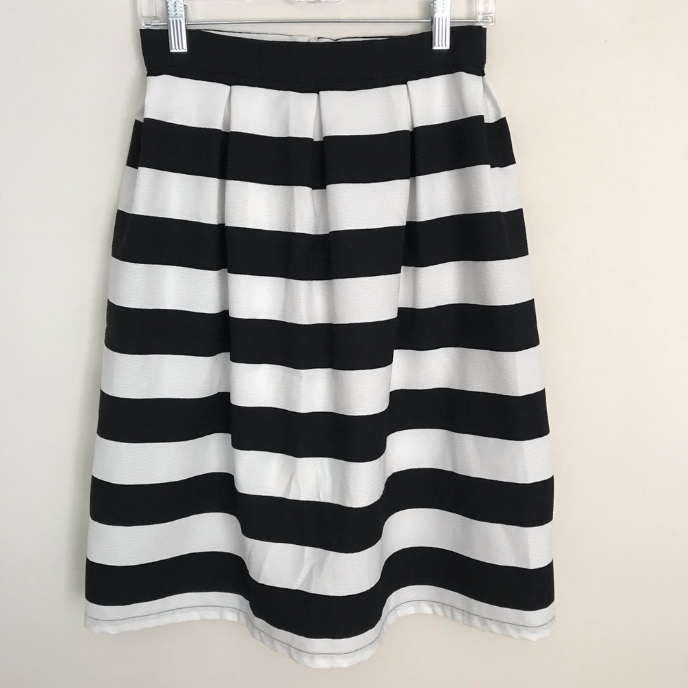 Francesca’s Boutique Skirt